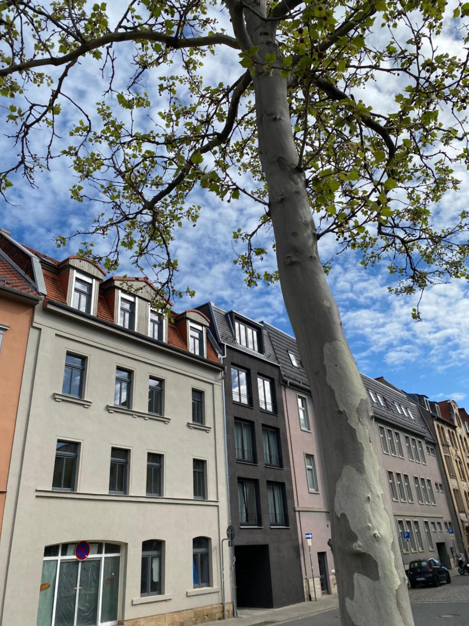Eiwelhome - Stilvoll, Urban-Ruhig Schlafen, Bahnhofsnah, Balkon Erfurt Exteriör bild